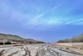 楊老七羊肉粉湯用戶圖片