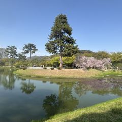伊藤久右衛門・茶房（JR宇治站前店）張用戶圖片