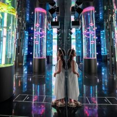 Kishimoto食堂（本店）張用戶圖片