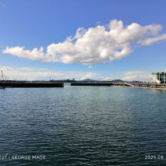 Harbourside Ocean Bar Grill User Photo