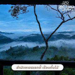 Daauw Home ảnh của người dùng