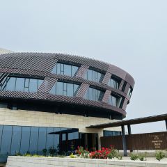 Runaway Cow Canton 8 User Photo