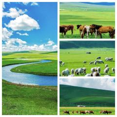 AO LU GU YA User Photo