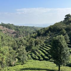 茶山天然居 User Photo