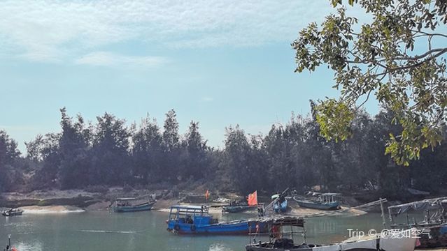 qi zi wan xiao jiao gong yuan