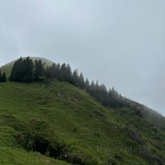 狮子口(河洑店) User Photo