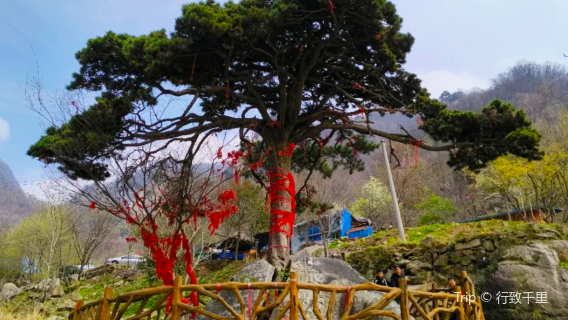 bei ding ying ke song