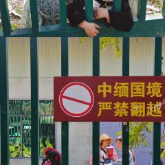 阿古吉缅甸茶餐厅 User Photo