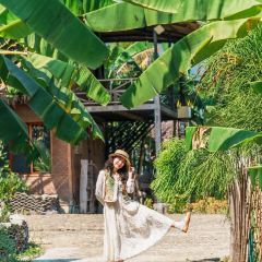 芒团纸村农家 User Photo