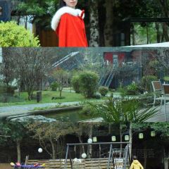 黄山魔宿·厢居集装箱野奢民宿·餐饮 User Photo