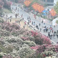 烙鍋小院張用戶圖片