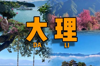 杨记饵块