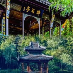 雷官板鸭 User Photo