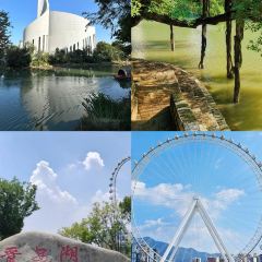 Jiuhaozizhuzhongcan (daminglu) User Photo