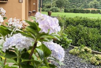 思无邪·逍遥游·餐厅 User Photo