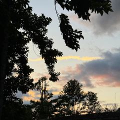 菌齐彩菇 User Photo