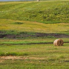 子昱饭店 User Photo