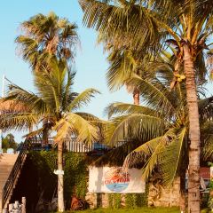 開蠔屋·生蠔海鮮燒烤（中海水岸城店）張用戶圖片