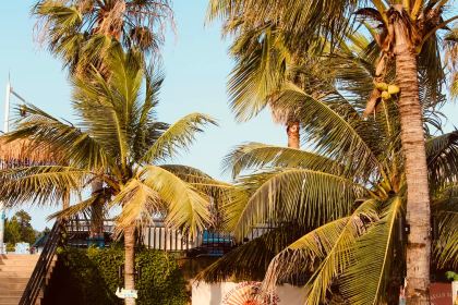 開蠔屋·生蠔海鮮燒烤（中海水岸城店）