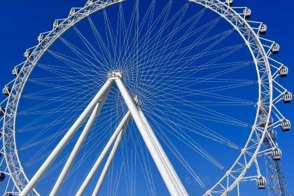 哎呀妈妈哟岚山豆腐木柴大锅鱼