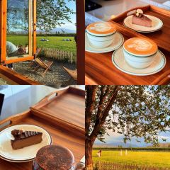 六月瓣咖啡 User Photo