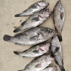 牛老二海鲜烧烤(日照总店) User Photo