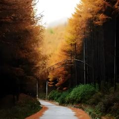 李氏下饭菜纸包鱼·私房菜 User Photo