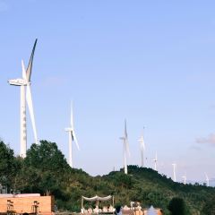 张小花奶茶铺(体育馆店) User Photo