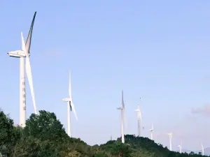 张小花奶茶铺(体育馆店)