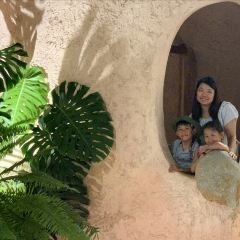 Ola Cafe - 31 Nguyễn Hữu Huân User Photo