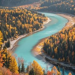 魏家羊羔肉(天山区店) User Photo