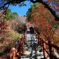 老街印象張用戶圖片