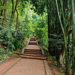 长安酒家 User Photo