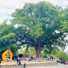 王家厨房(新华路店) User Photo