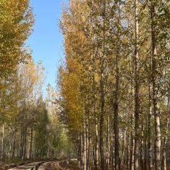 偏愛炒雞店(淘你歡店)張用戶圖片