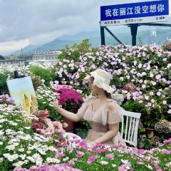 屋顶咖啡·日落甜茶·雪山花园 ·bistro User Photo