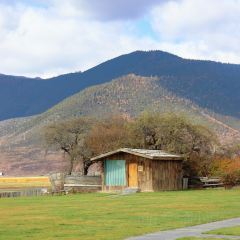 黑豆咖啡屋 여행 사진