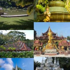 傣景园景颇族绿叶手抓饭 User Photo