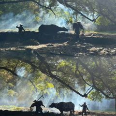 阿忠海鲜餐馆(新华北路店) User Photo