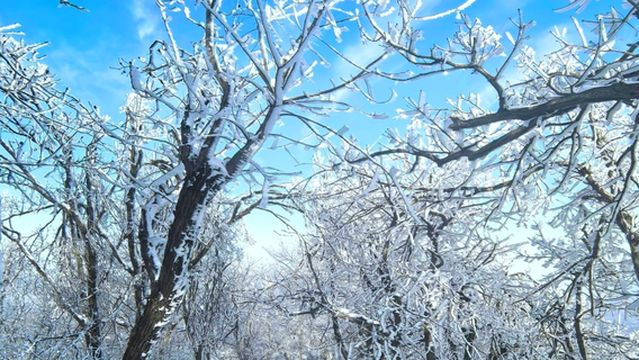 Tongbai Mountain Taibai Top Scenic Area