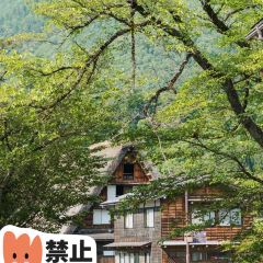 Chinchoan Nachisan User Photo