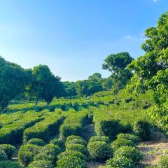 永盛酒樓張用戶圖片