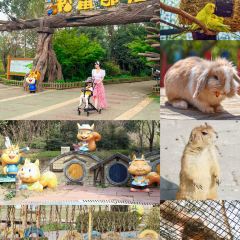 DONG PO SHAN ZHUANG TIAN YUAN SHENG TAI HUO GUO User Photo