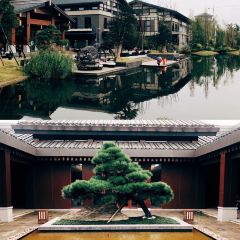 汉中天汉景逸酒店景·咖啡全日西餐厅 User Photo