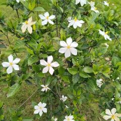 大宁乡·宁乡口味菜 User Photo