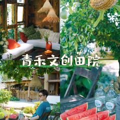 青禾文创田院 User Photo