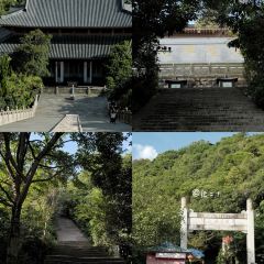 蜜悦·秘野仙踪半山森林餐厅 User Photo