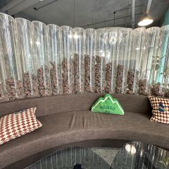 后旗红马铃薯主题店(乌兰察布店) User Photo