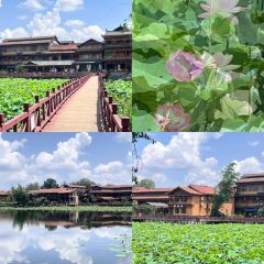 见山小院 User Photo