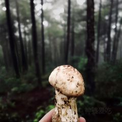 画山藏餐 User Photo